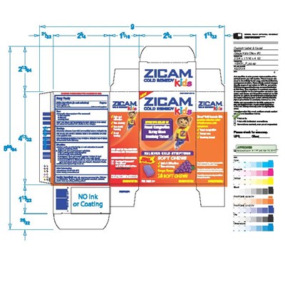 Zicam Kid Grape Sc 18ct (Zicam Kid Grapesc 18)